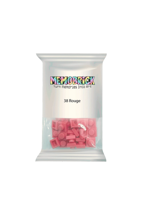Bag of Bricks - Rouge38 - Memobrick