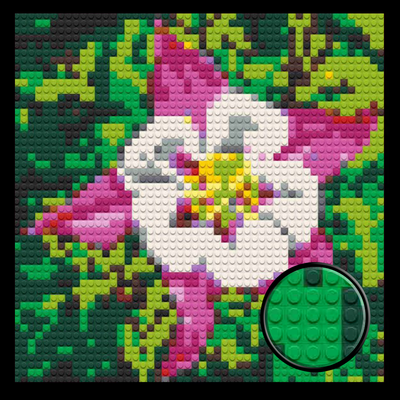 Columbine Wildflower Brick Mosaic Art Kit - 16x16 in DIY Wall Decor
