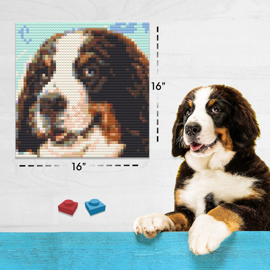A 16 by 16 inch brick mosaic of a Bernese mountain dog next to the dog's photo